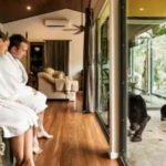 শুয়ে-বসে বন্যপ্রাণী দেখার সুযোগ অস্ট্রেলিয়ায়