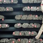 আকরিক লোহার রফতানি বাড়িয়েছে ইউক্রেন